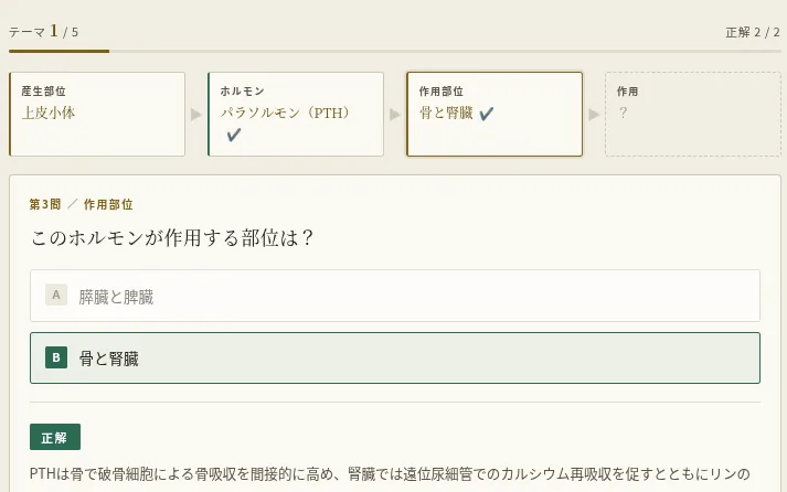 内分泌フローチャート2択ゲームの画面。産生部位からホルモン、作用部位、作用へと2択で進む