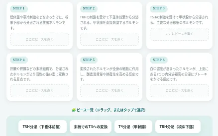 ジグソーパズルクイズの画面。甲状腺ホルモンのフィードバックの各段階にピースをはめる