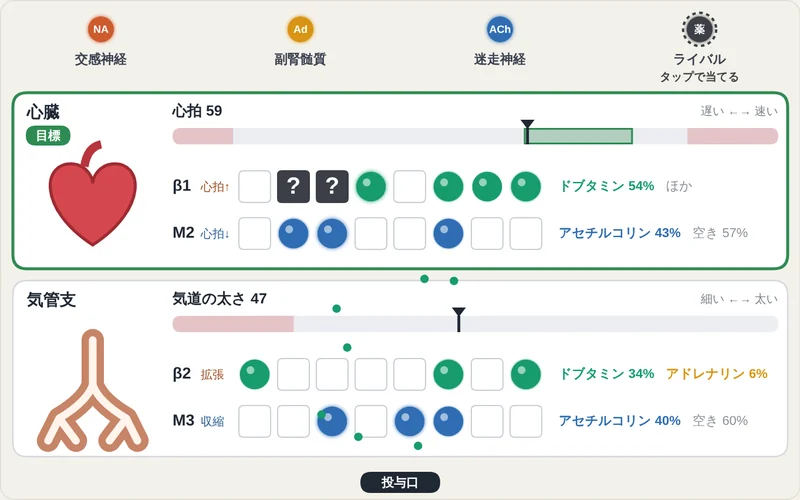 受容体争奪戦のプレイ画面。心臓のβ1受容体をドブタミンが占め、ライバルの薬（？）が一部をふさいでいる
